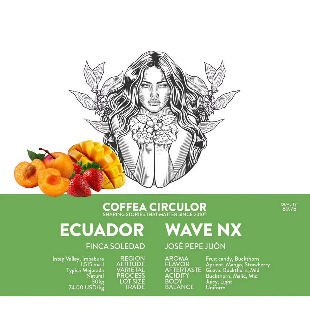 Ecuador, Typica Mejorada, Natural - 100g