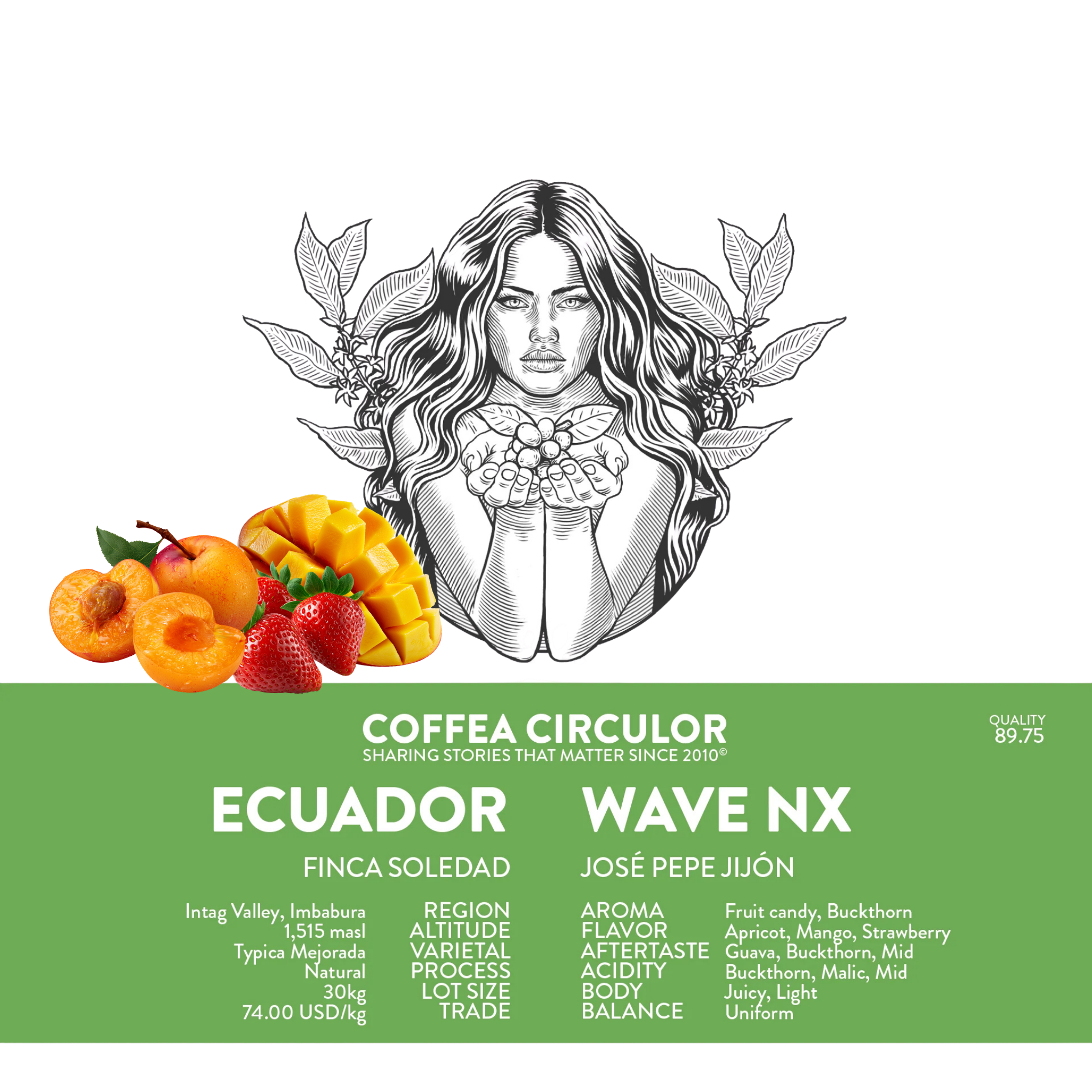 Ecuador, Typica Mejorada, Natural - 100g