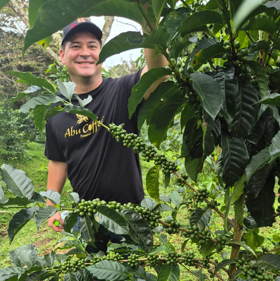Panama, natural Geisha /3215 NX - 40g