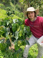 Sidra | Wush Wush Ecuador - La Reserva - 100g