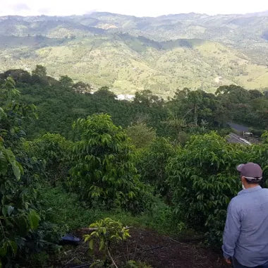 Ecuador, Don Vallejito - 225g